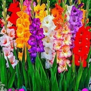 Meet your Posher, Rita